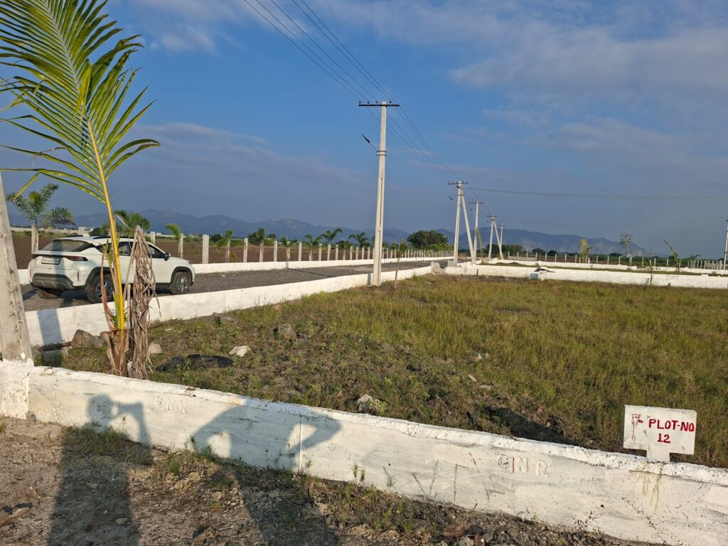 whatsapp image 2025 12 02 at 8.57.49 am (2)